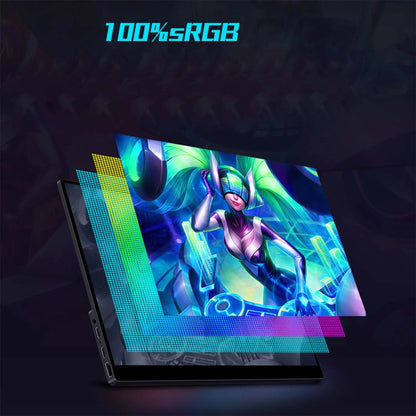 17.3 Inch 165Hz Portable Monitor Gaming Display